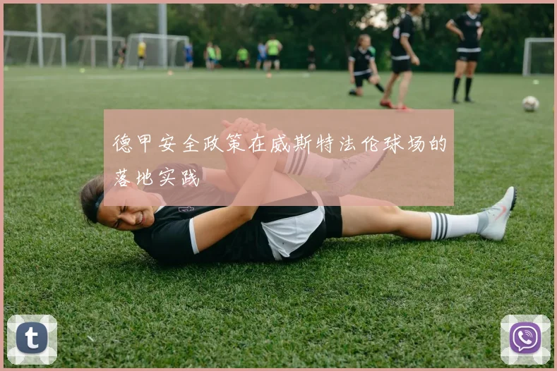 德甲安全政策在威斯特法伦球场的落地实践