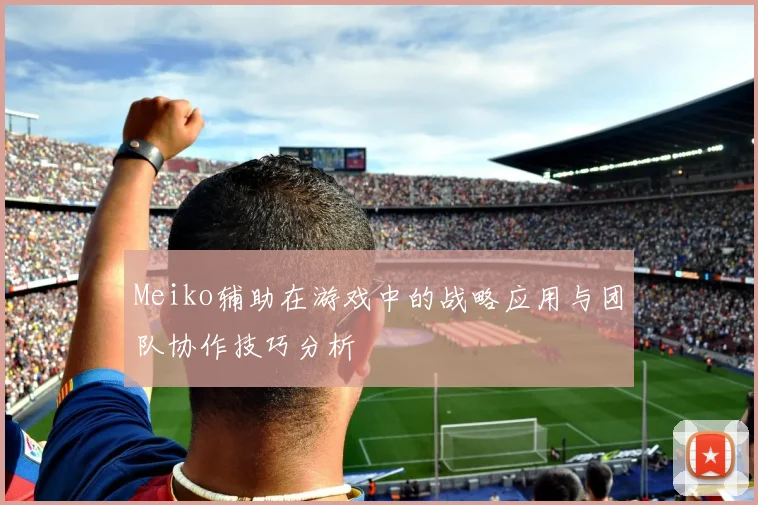 Meiko辅助在游戏中的战略应用与团队协作技巧分析