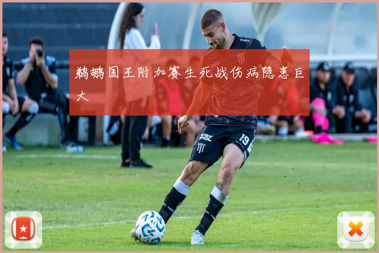 鹈鹕国王附加赛生死战伤病隐患巨大